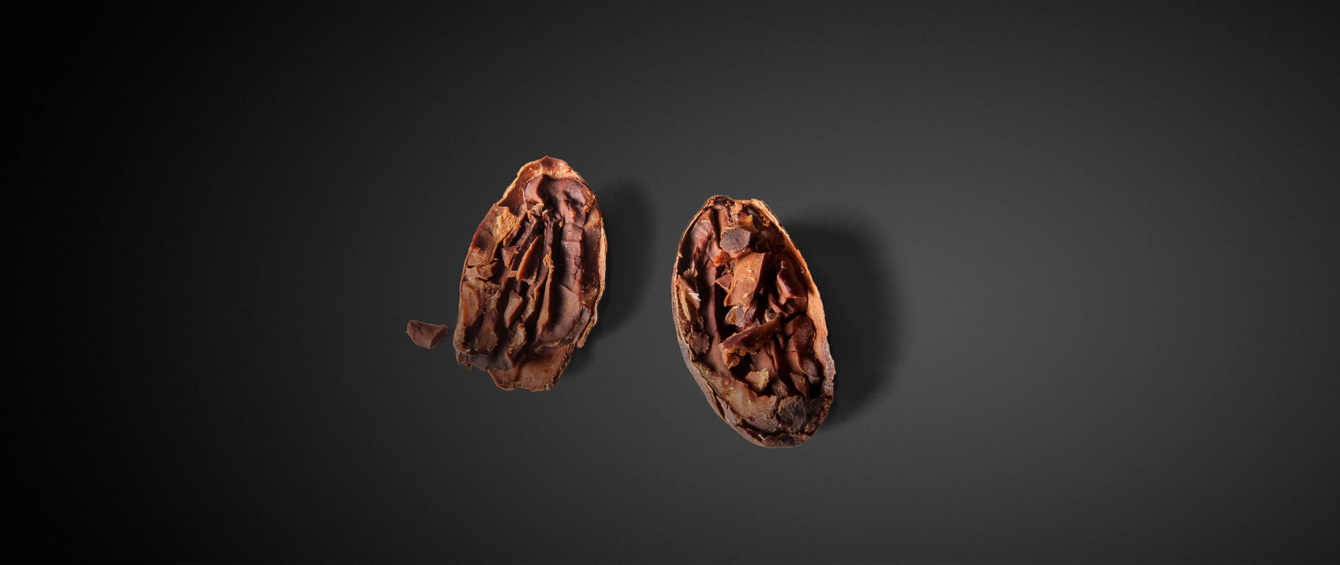 Main Intercacao banner