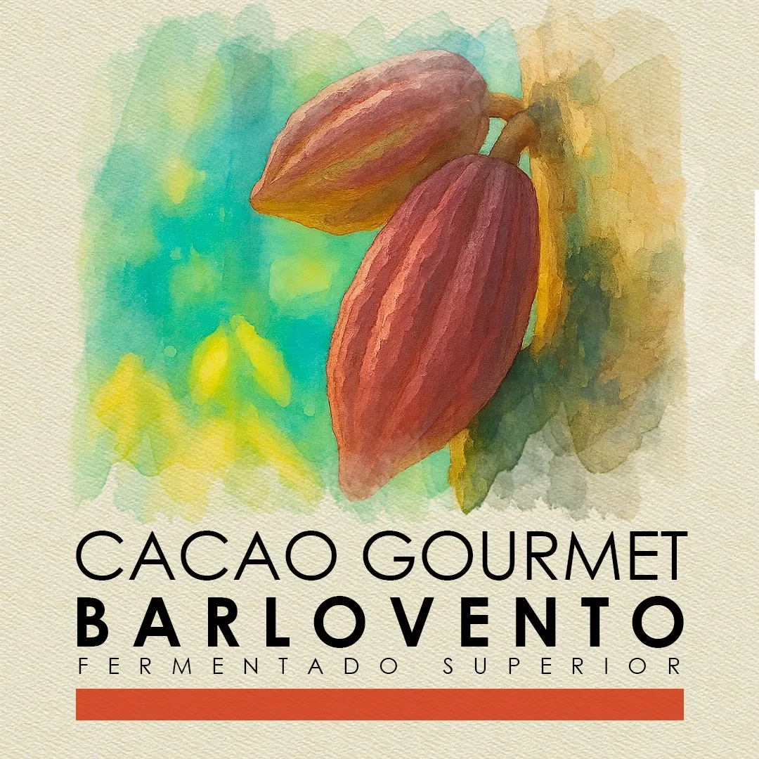 Panoramic view of Barlovento cocoa plantation