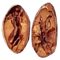semilla porcelana