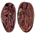 semilla porcelana