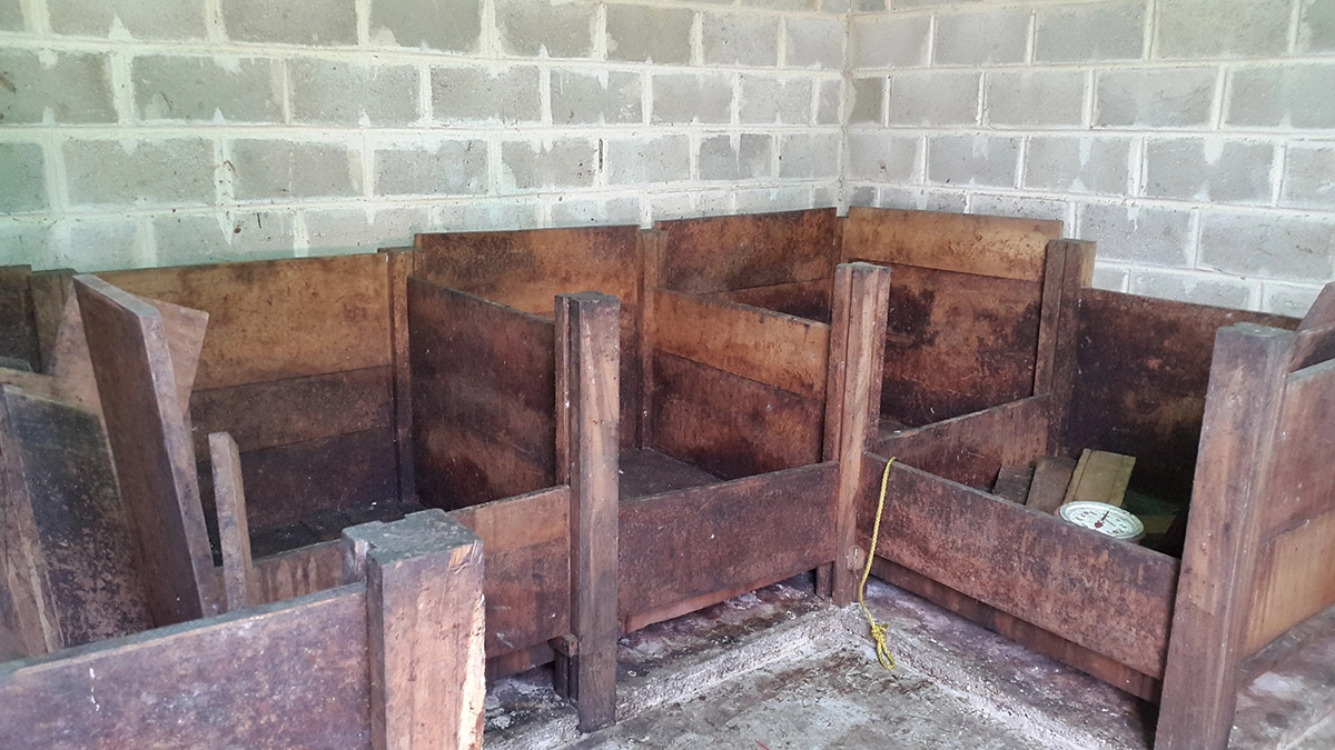 fermentation protocol