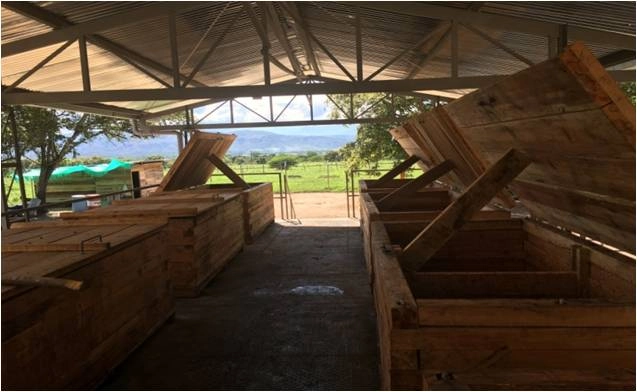 Huila Fino cocoa fermentation process in wooden boxes