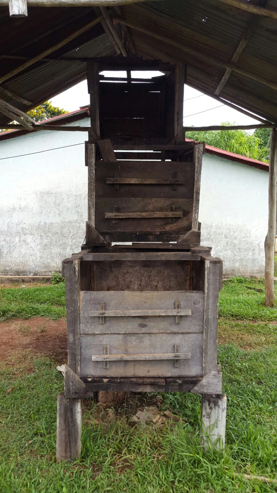 Proceso de fermentación del cacao de Manapiare en cajones de madera