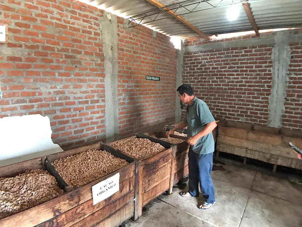fermentation protocol