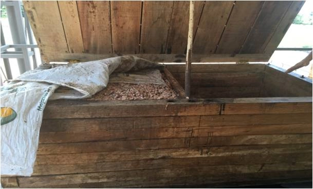 Huila Fino cocoa fermentation process in wooden boxes