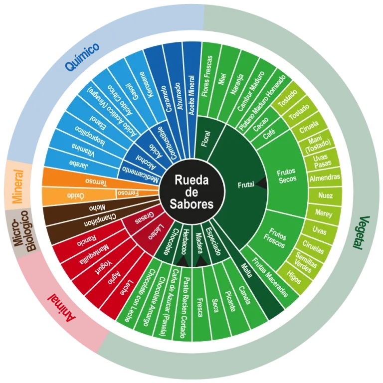 Rueda de sabores del cacao