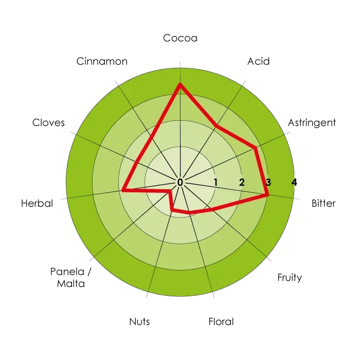 Detailed sensory map of Patanemo Fino cocoa flavor profile