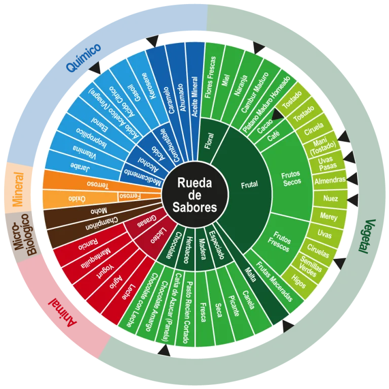 Rueda de sabores del cacao de Chuao mostrando sus notas características