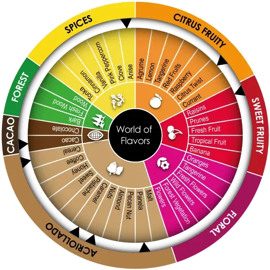 Cocoa flavor wheel