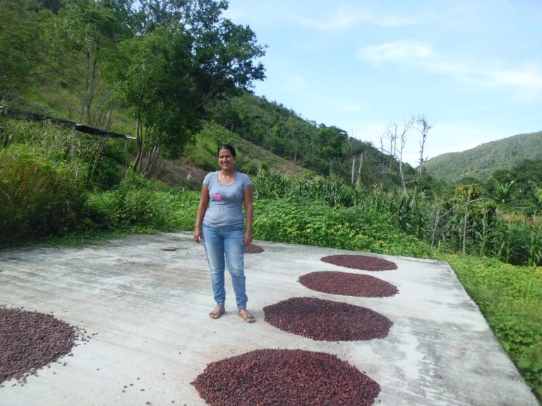 Proceso de secado del cacao de Mantuano al sol