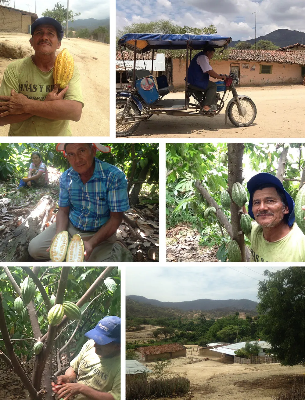 Farmers