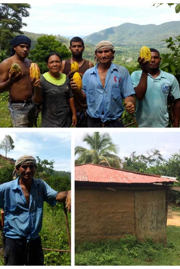 Patanemo Fino cocoa origin and traceability certificate