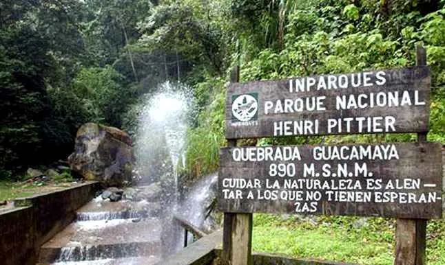 Paisaje del Parque Nacional Henri Pittier en Chuao