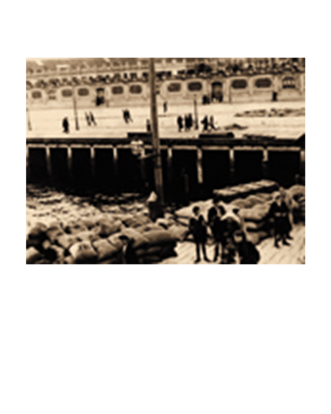 05ProsperiCia.Bmh236b6