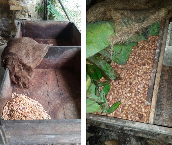 fermentacion.C95bxCtt