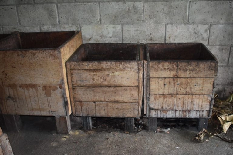 fermentado1.tgYd_l-i