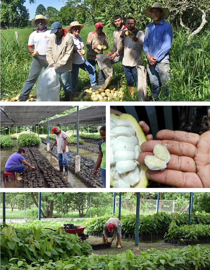 trazabilidad.CybNFuK6