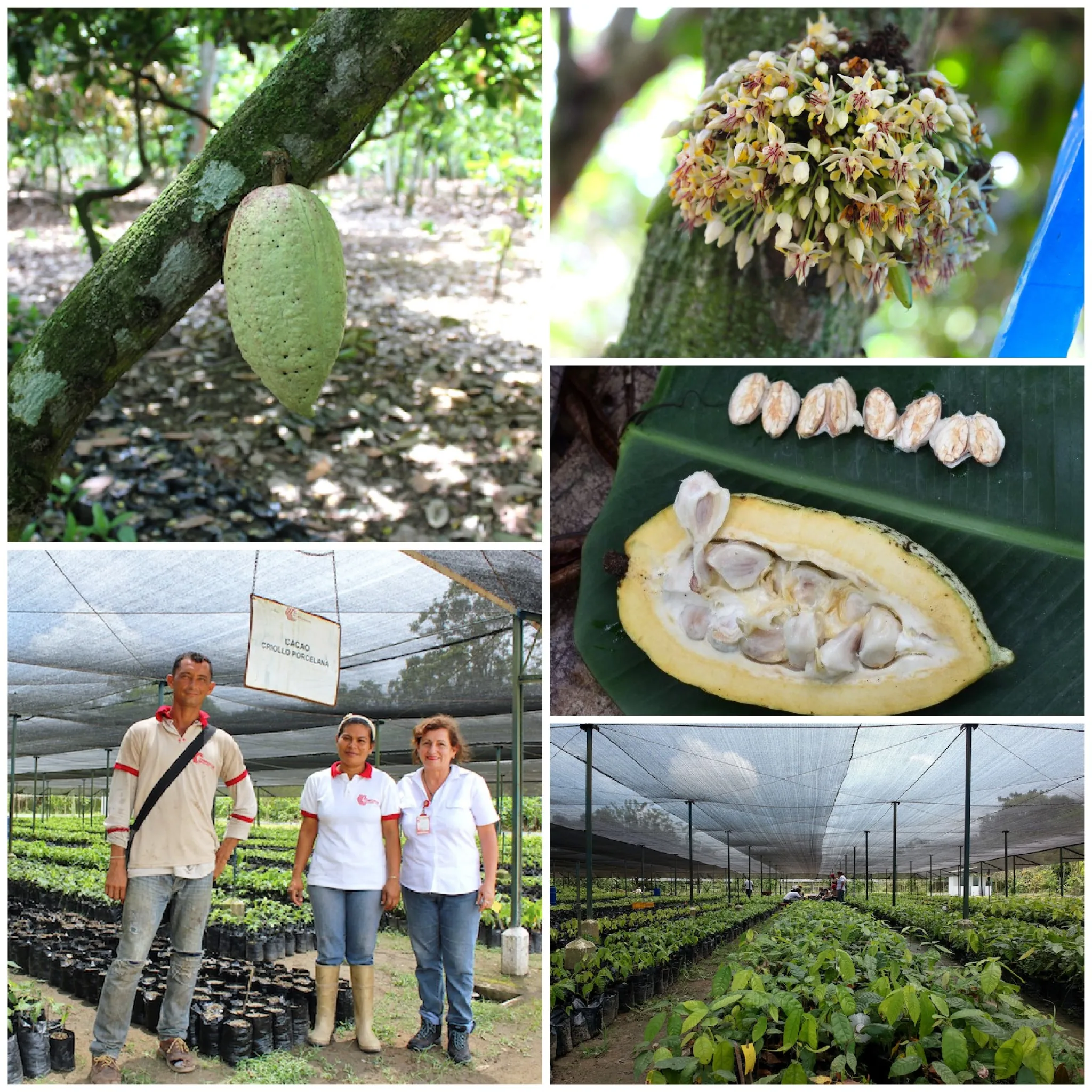 trazabilidad3.CpCNZLYK